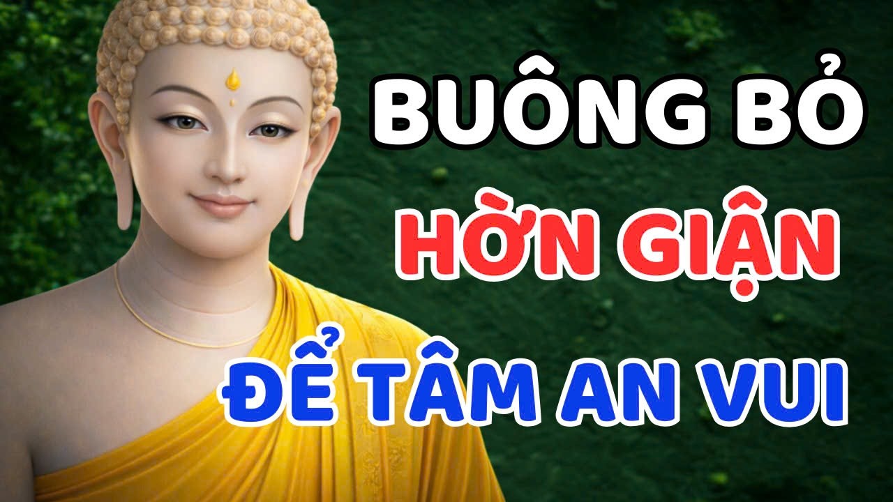 Lời Phật Dạy : Buông Bỏ Hờn Giận Để Tâm An Vui, Sống Nhẹ Lòng Hơn Mỗi Ngày