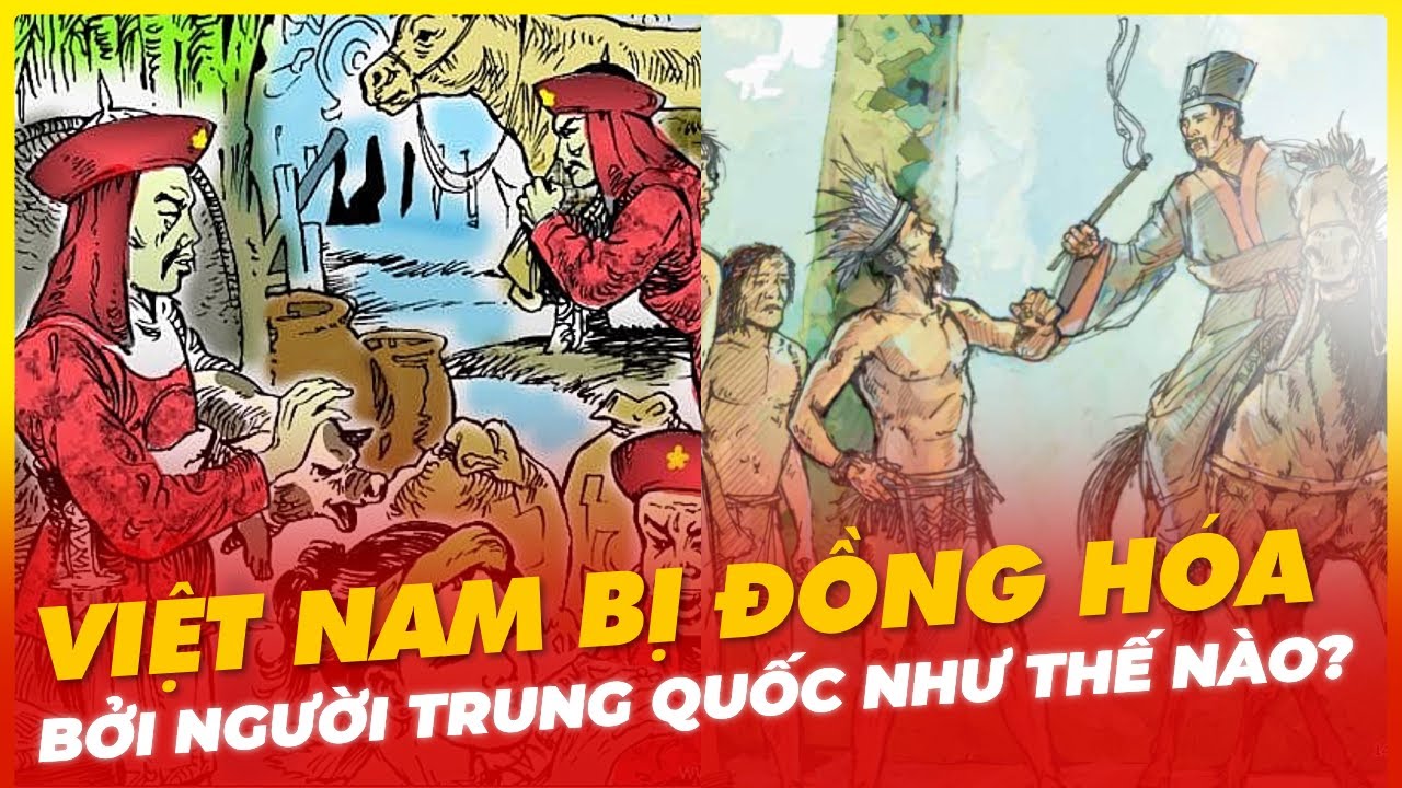 TRUNG QUỐC ĐÃ ĐỒNG HÓA VIỆT NAM NHƯ THẾ NÀO?