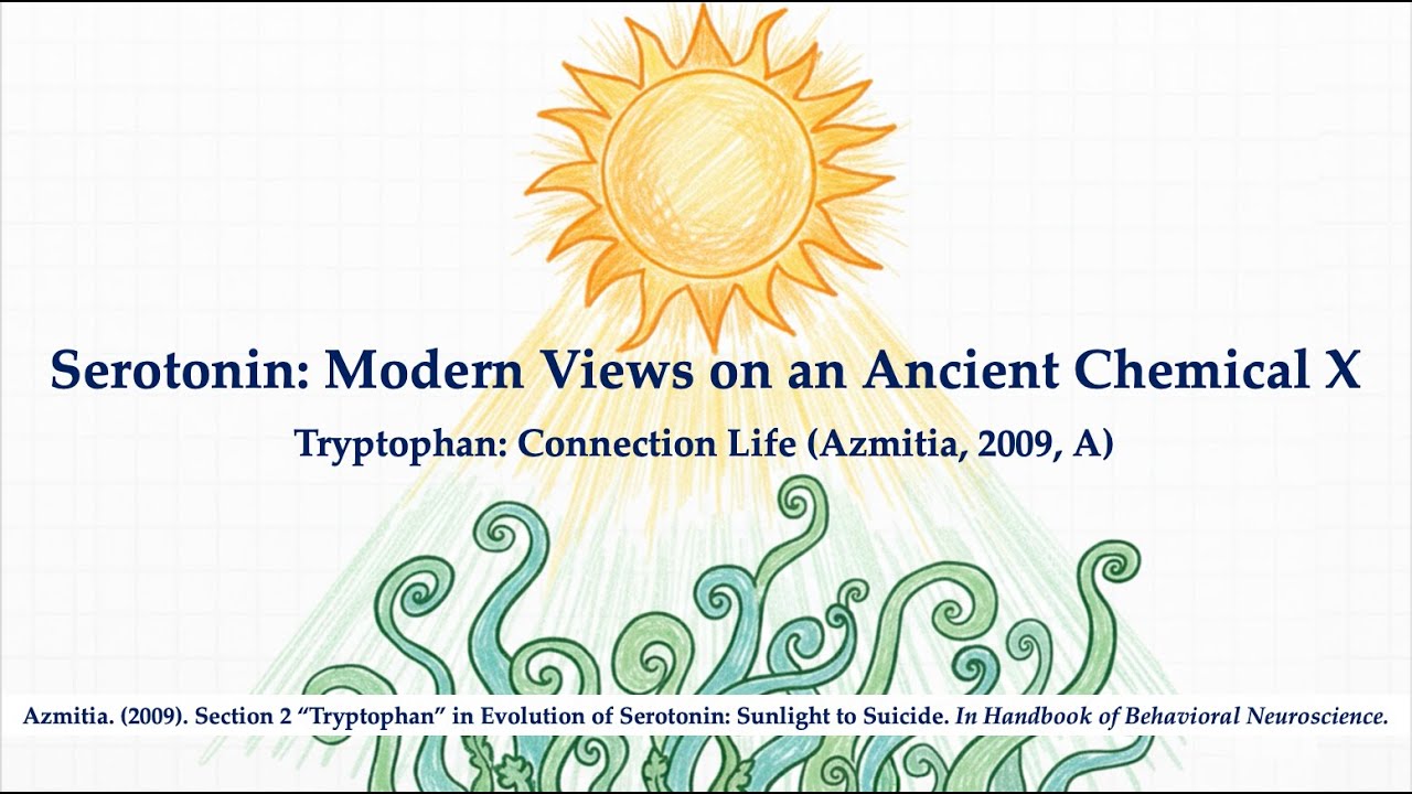 Tryptophan’s Role In Evolution & Biology (Azmitia, 2009A X)