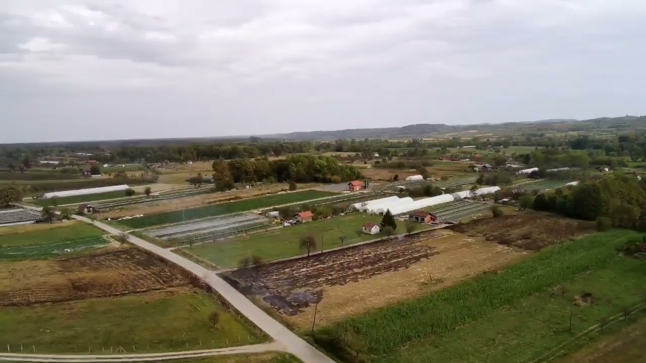Čelić 2023.Brezopoljska cesta i jagode bobice