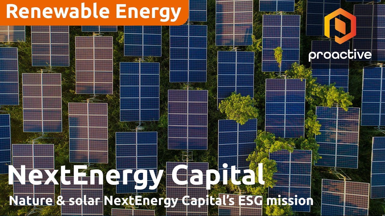 NextEnergy Group&rsquo;s Nature Strategy explained