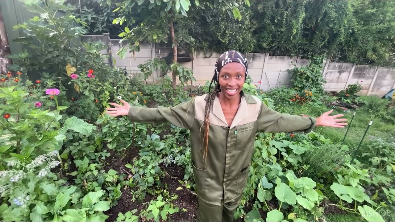 Stop Shopping, Start Growing: What Our Home Garden Is Producing Right Now