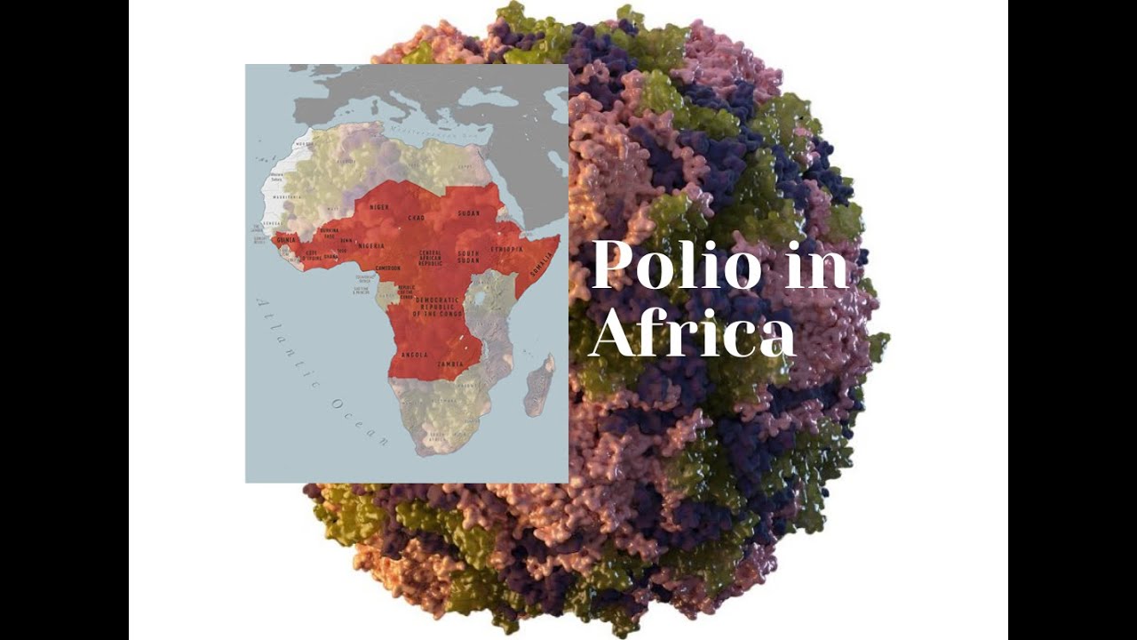 Polio in Africa: Vaccine-derived polioviruses (VDPVs)