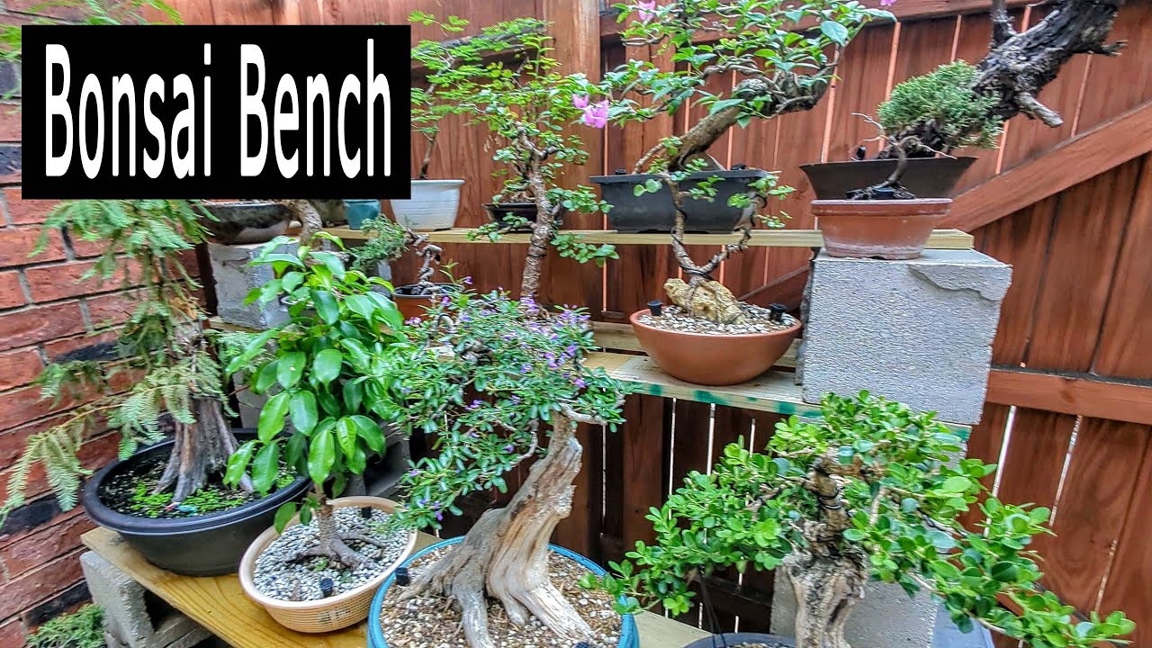 Bonsai Garden Makeover . Bench tour