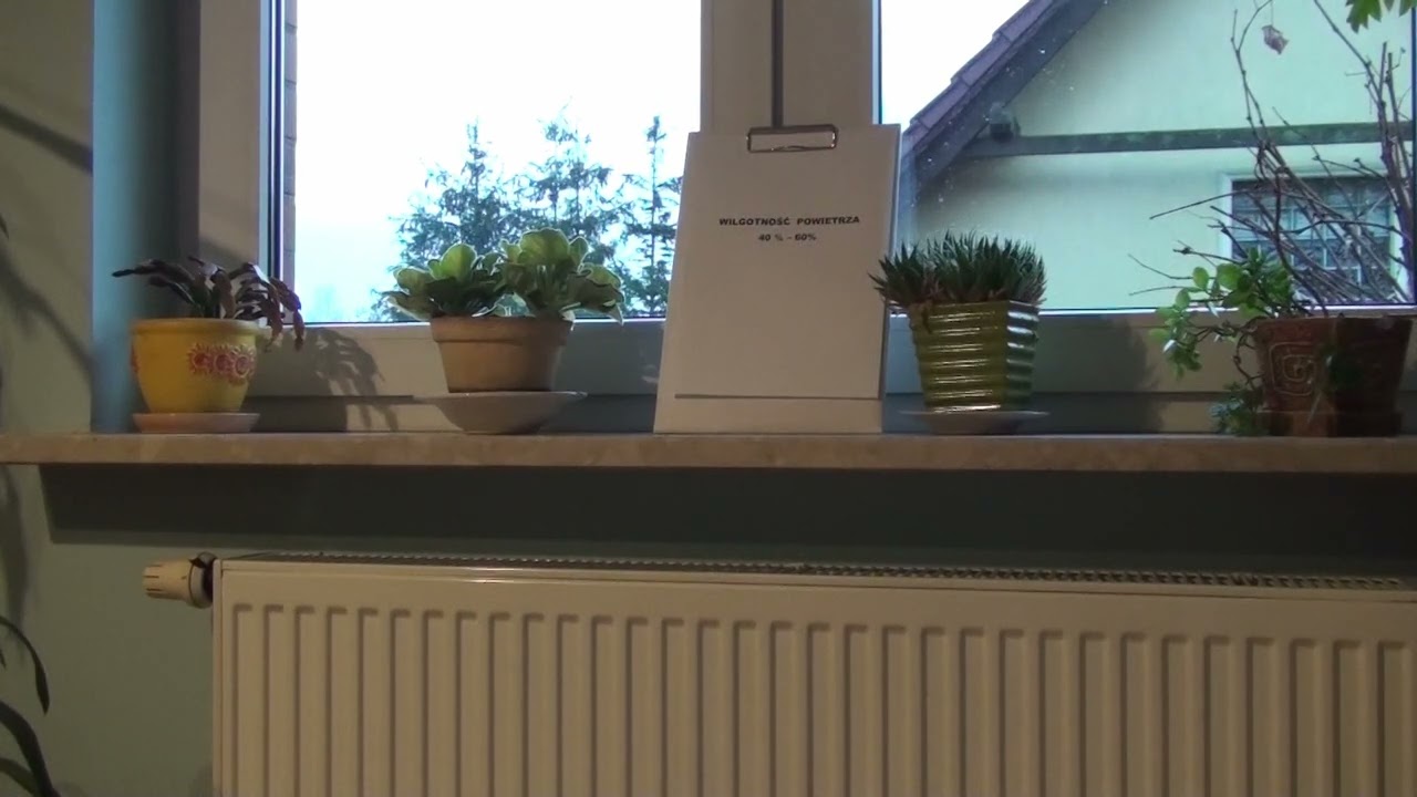 Wilgotne powietrze w mieszkaniu lub domu