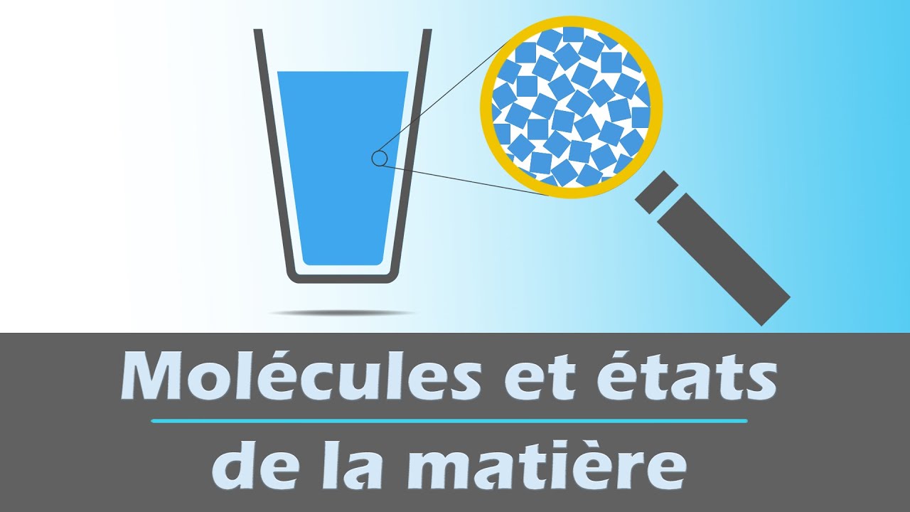 Mol&eacute;cules et &eacute;tats de la mati&egrave;re | Physique Chimie | Coll&egrave;ge | Cycle 4
