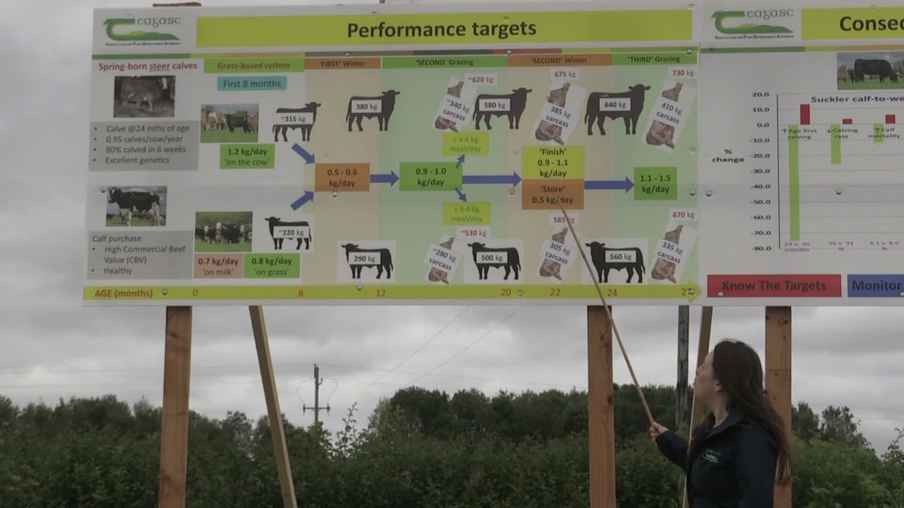 Performance Targets for Resilient Beef Production - Rachel Taylor and Mark McGee