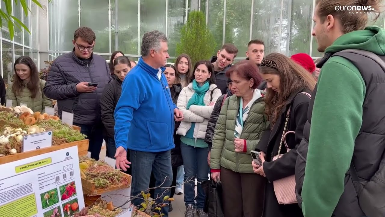 Expoziție de ciuperci, la Iași. Cum deosebești ciupercile comestibile de cele otrăvitoare