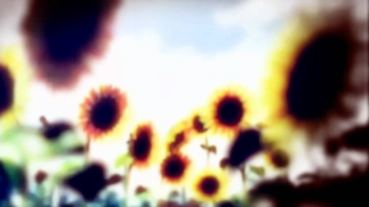 [3rd Place Pros] Break The Butterfly - AniNite AMV Contest 2011 [Unzensiert]