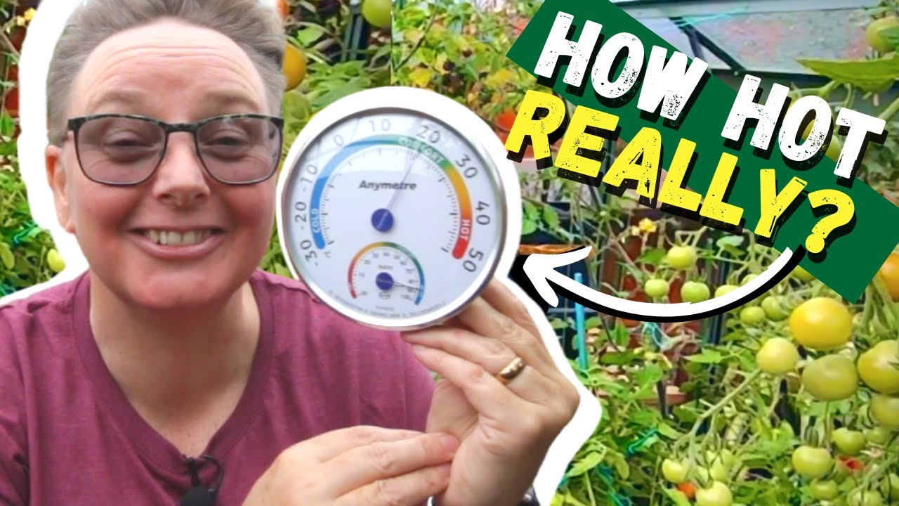 How to measure greenhouse temperatures