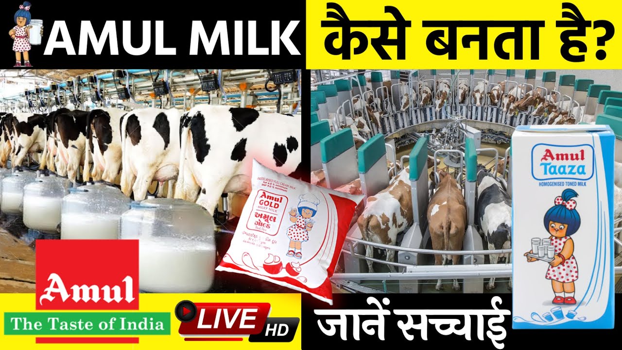 AMUL Milk kaise banta hai | फैक्ट्री में कैसे बनता है अमूल दूध? | Amul Milk Factory | Gyan Hub India
