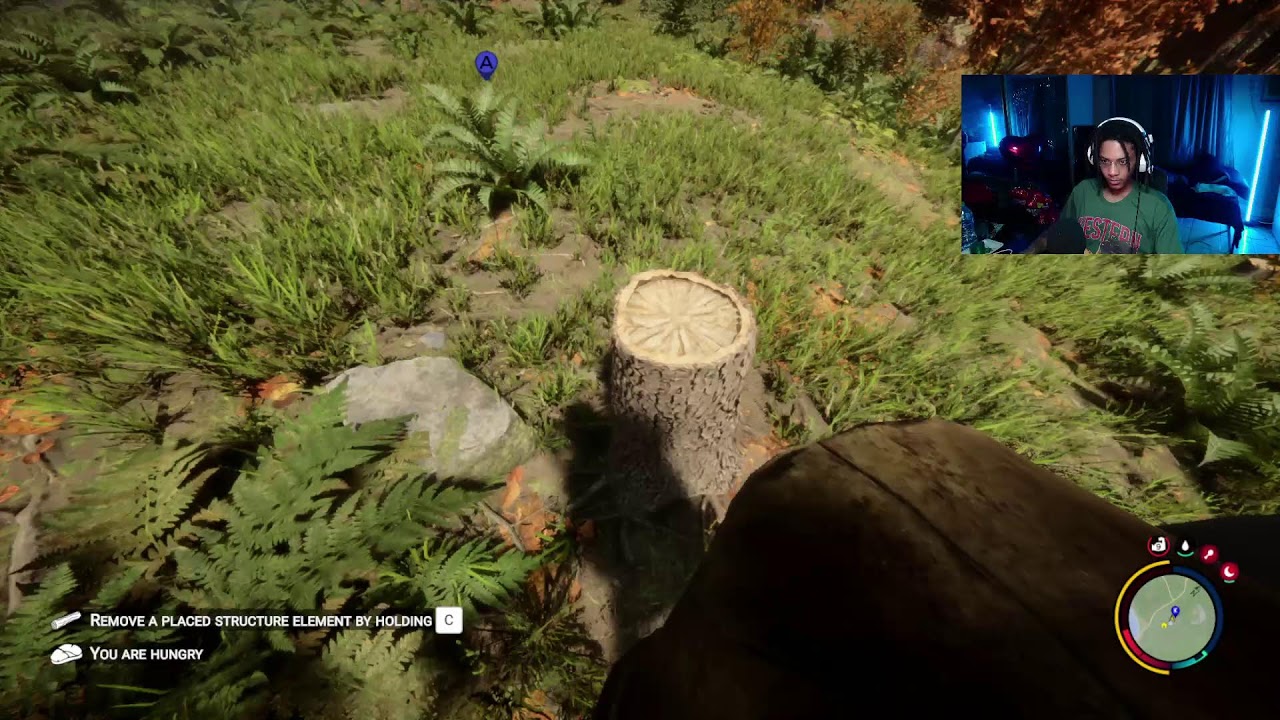 Sons Of The Forest 2.5