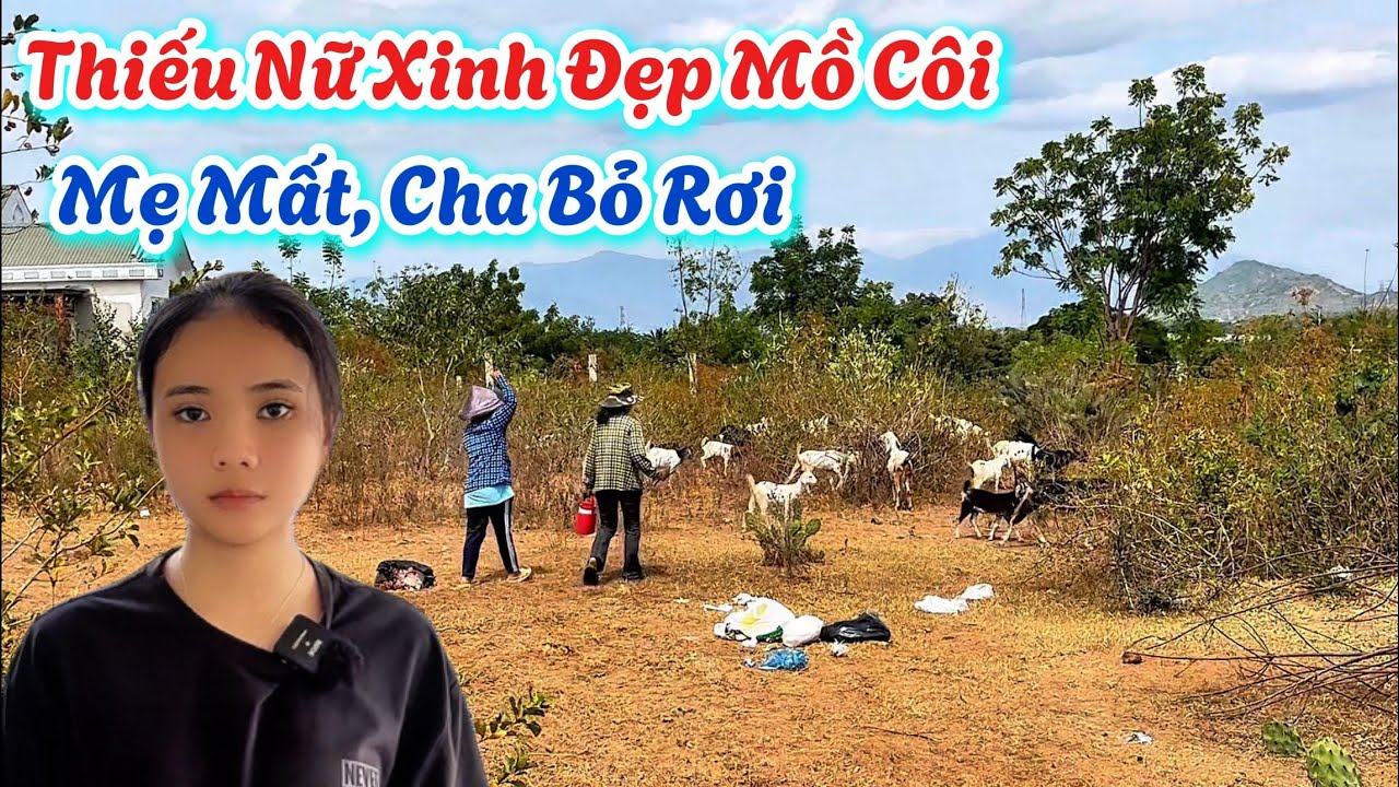 Thiếu Nữ Xinh Đẹp MỒ CÔI. Mẹ Mất, Cha Bỏ Rơi, Bà Ngoại Đi XIN ĂN Nuôi Em Ăn Học. | 744