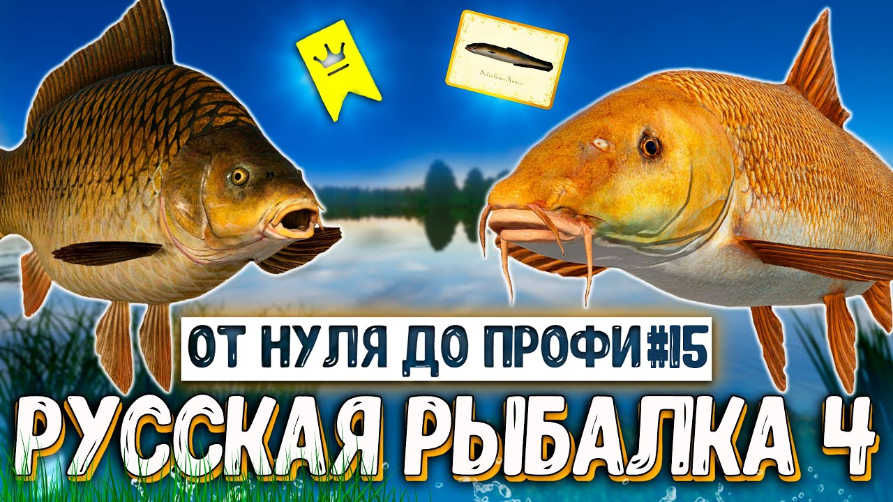 RF4 АПП ЛВЛ, ПРИКОРМ НА СТО, ФАРМ СЕРЫ, ЯНТАРКА И ПЛАНЫ #рр4