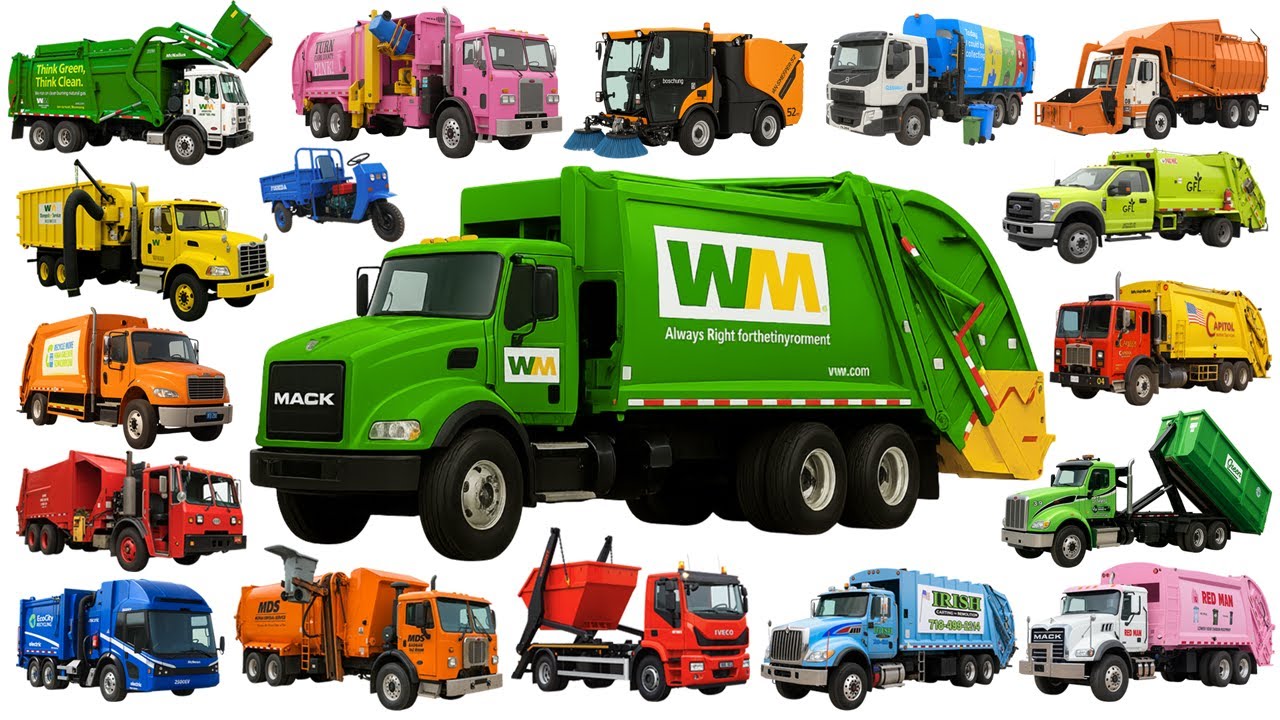 Мусоровозы для детей — изучаем названия и типы мусоровозов 🚛🗑️