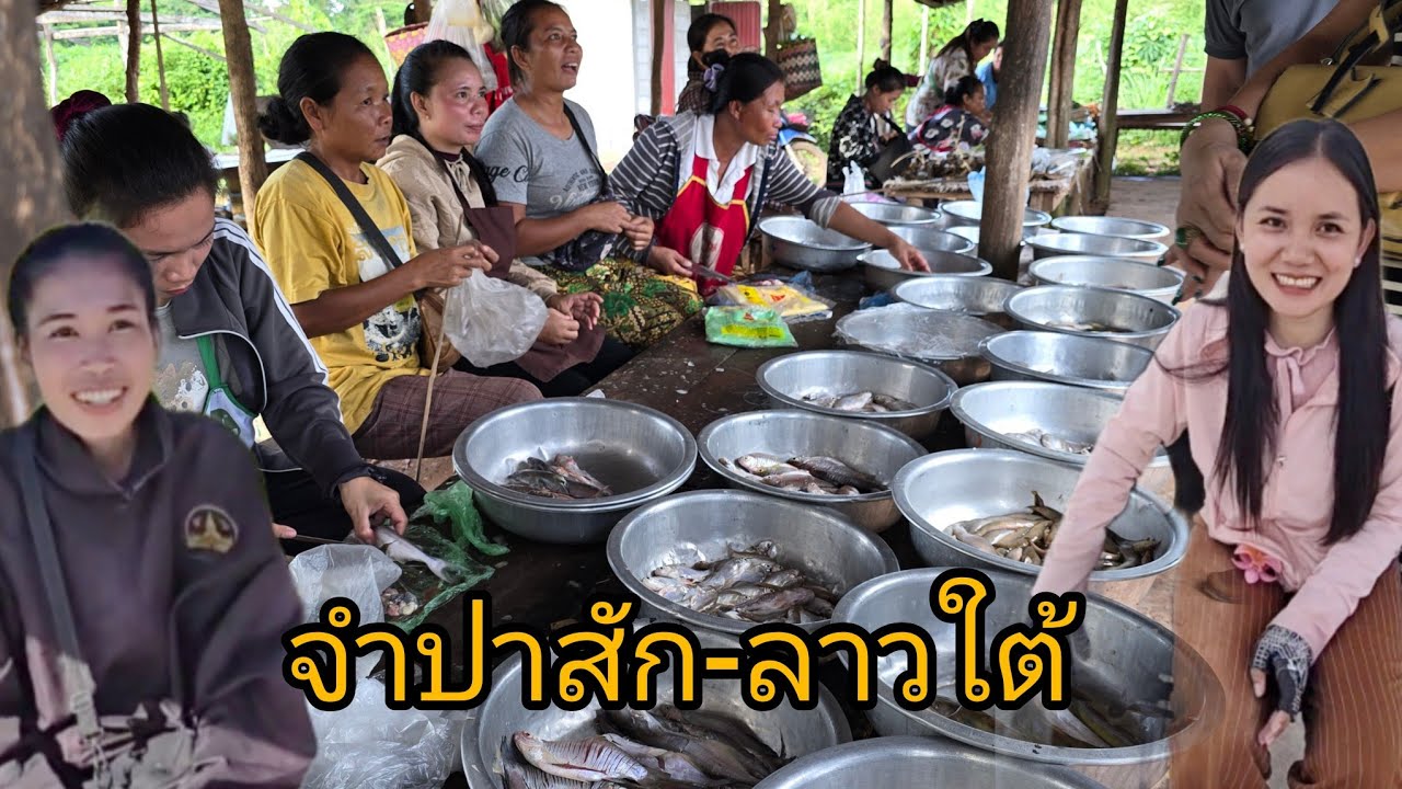 #เที่ยวลาวใต้ ข้ามมาลาวใต้ #แขวงจำปาสัก บรรยากาศอุมอุ่น #วิถีลาว #วิถีชาวบ้าน #สาวลาว น่ารัก #สปปลาว