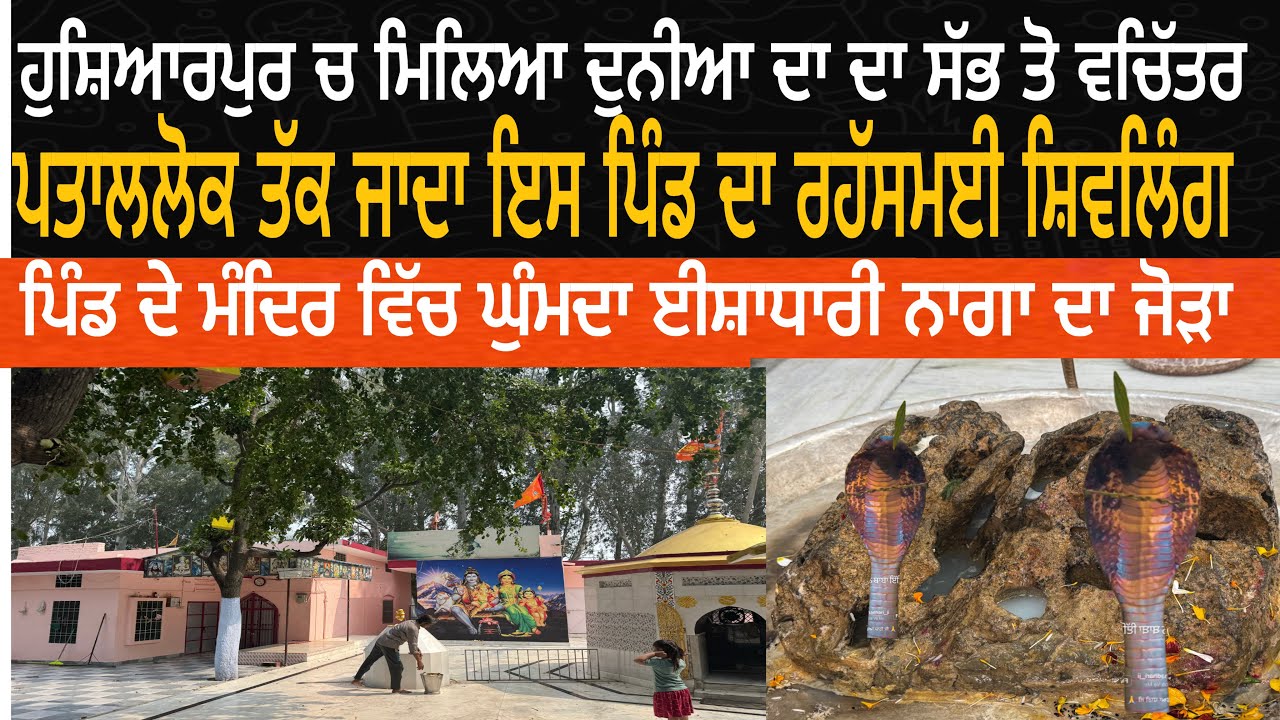 होशियारपुर मे मिला दुनिया का सबसे वचित्र पताललोक तक जाता रहस्मई शिवलिंग”पहरे दारी करते ईशाधारी साप 