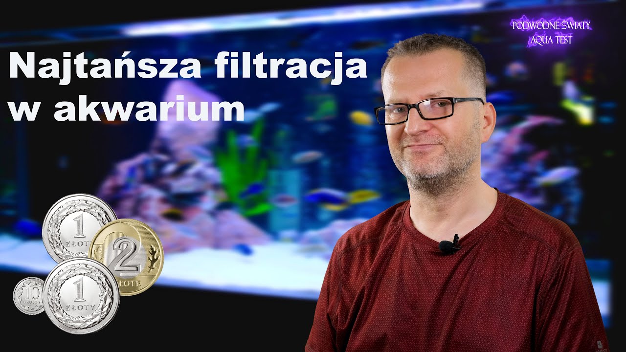 Najtańsza filtracja w akwarium