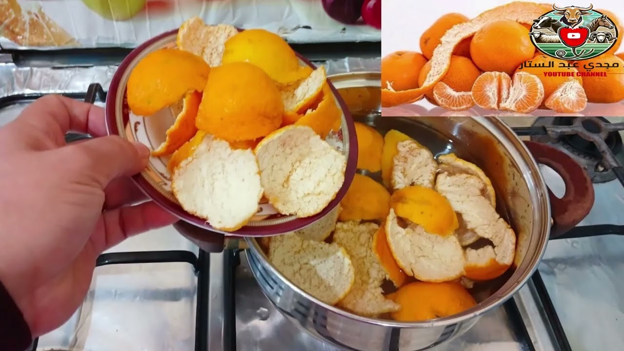 silage fermented feed سيلاج قشر البرتقال وتفله الطماطم في مزارع الحلاب