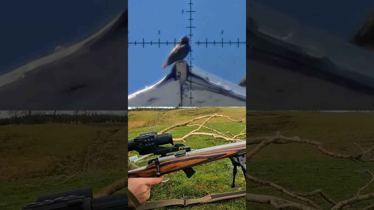 Коли дистанція не має значення | FX Airgun Sniper