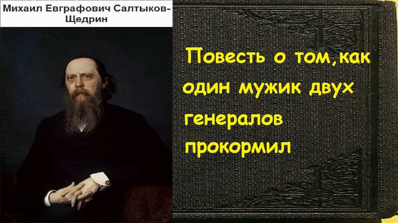 Михаил Салтыков-Щедрин.  Повесть о том, как один мужик двух генералов прокормил аудиокнига