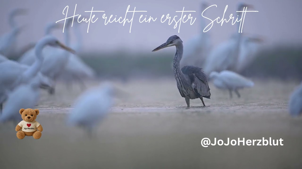 ☀️ Heute reicht ein erster Schritt | Guten-Morgen-Song | JoJoHerzblut