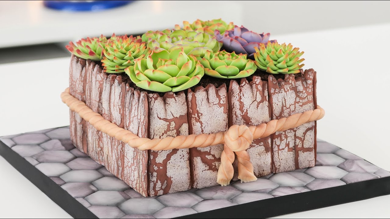 Как приготовить торт с суккулентами и потрескавшуюся помадку — Tan Dulce