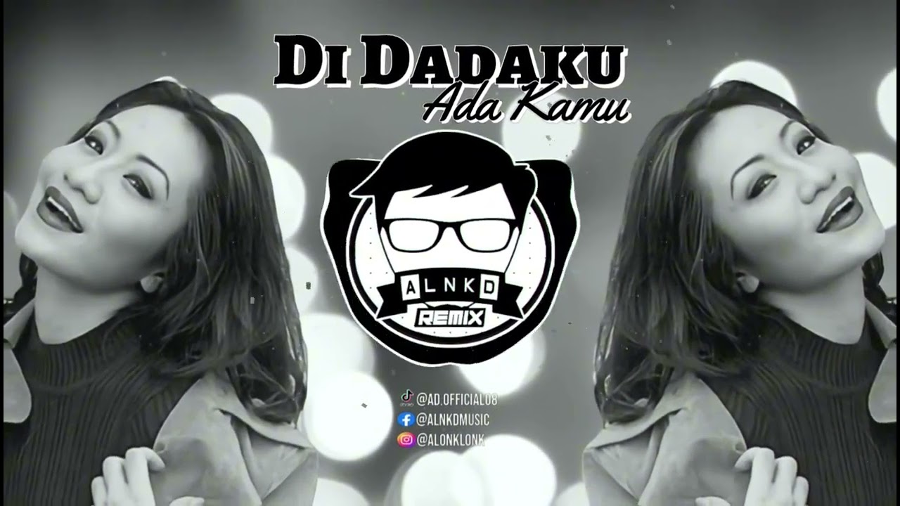 Amelina - Di Dadaku Ada Kamu (ALNKD Remix) BreakLatin