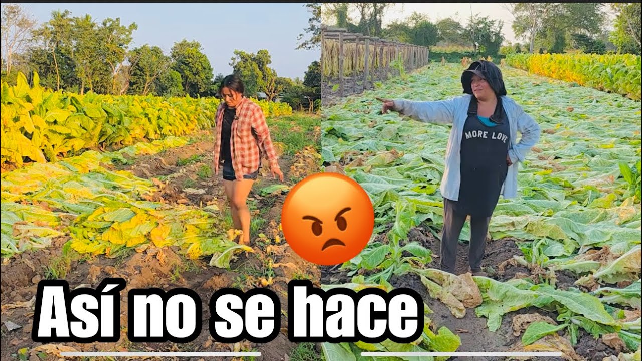 Doña Juanita le dijo esto a Gaby, Pero Mira Como Trabaja 😱