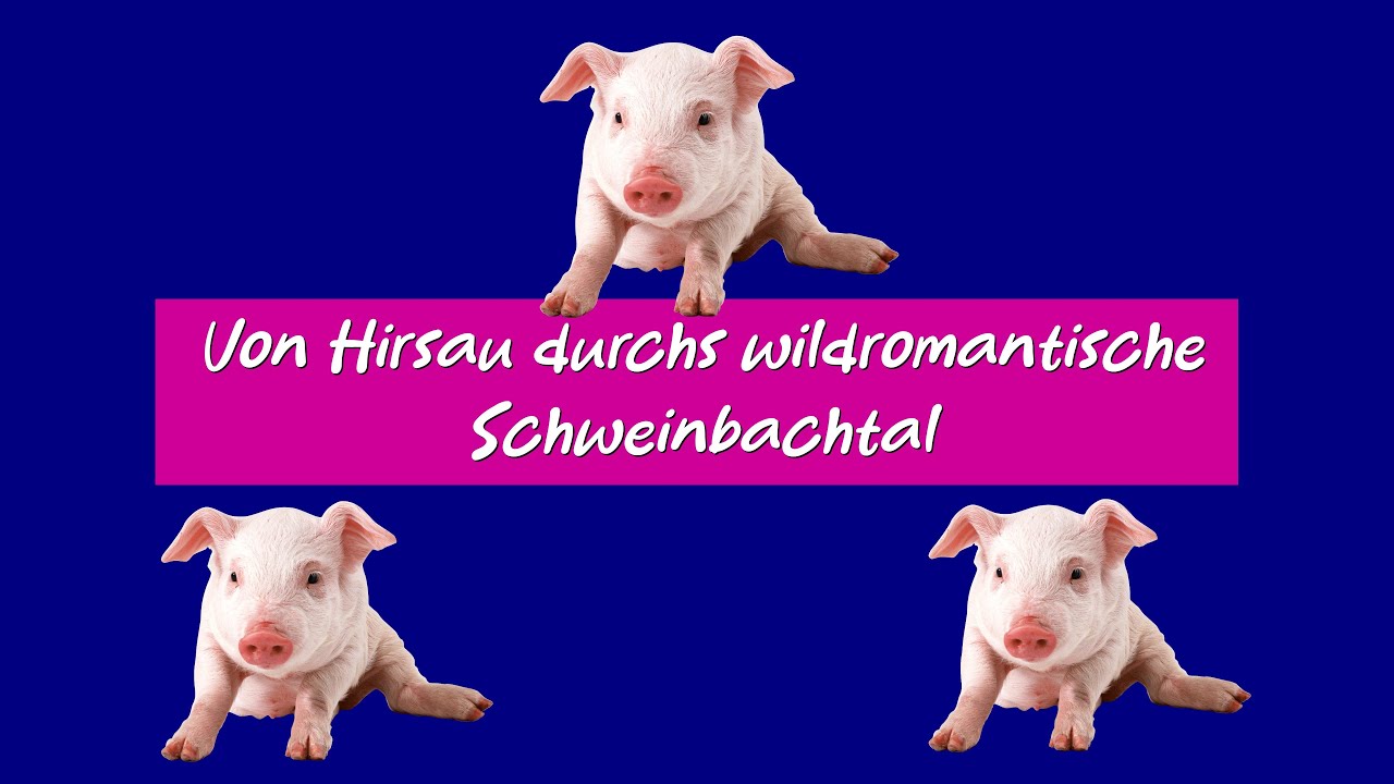Frostig kalte Winterwanderung durchs Schweinbachtal bei Hirsau (Landkr. Calw) 🥶👣