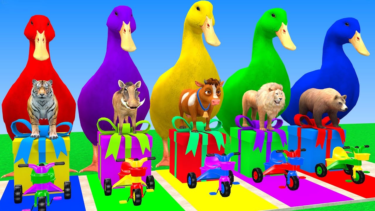 Long Slide Game With Cow Elephant Gorilla Hippopotamus Tiger 3d Animal Game Funny 3d Animals