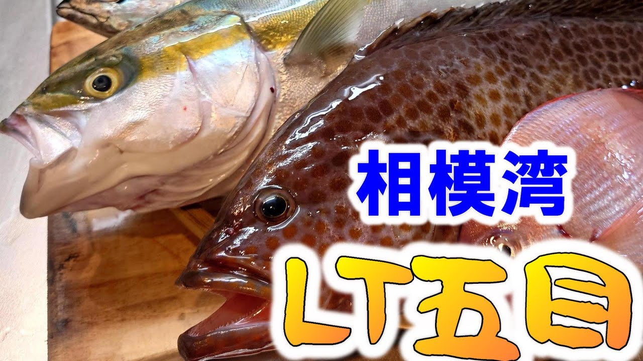 【相模湾】青物から高級魚まで！相模湾のLT五目【船釣り】