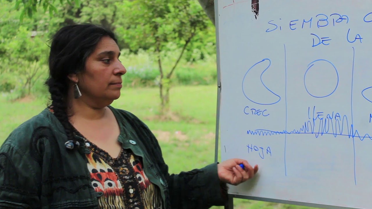 Curso de Siembra con Fases de la Luna