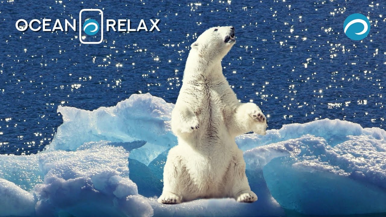 Wonderful Magic World of Icebergs. Nature untouched by civilization.