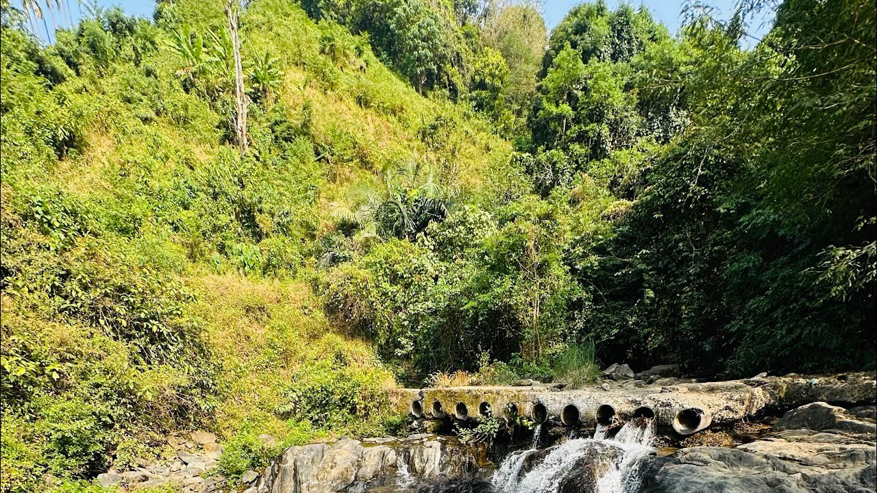 കാട്ടനയും പുലിയും ഇറങ്ങുന്ന  മലയുടെ മുകളിൽ ഒറ്റക് താമസിക്കുന്ന അമ്മച്ചിയുടെ വീട്ടിലേക്ക് #wildlife 