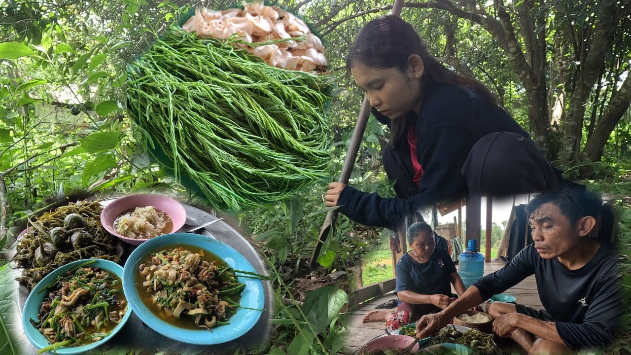 ແກງເຫັດຂາວໃສ່ຈີ້ລໍ້//แกงเห็ดขาวใส่จี้โป่ม 9 สิงหาคม ค.ศ. 2025