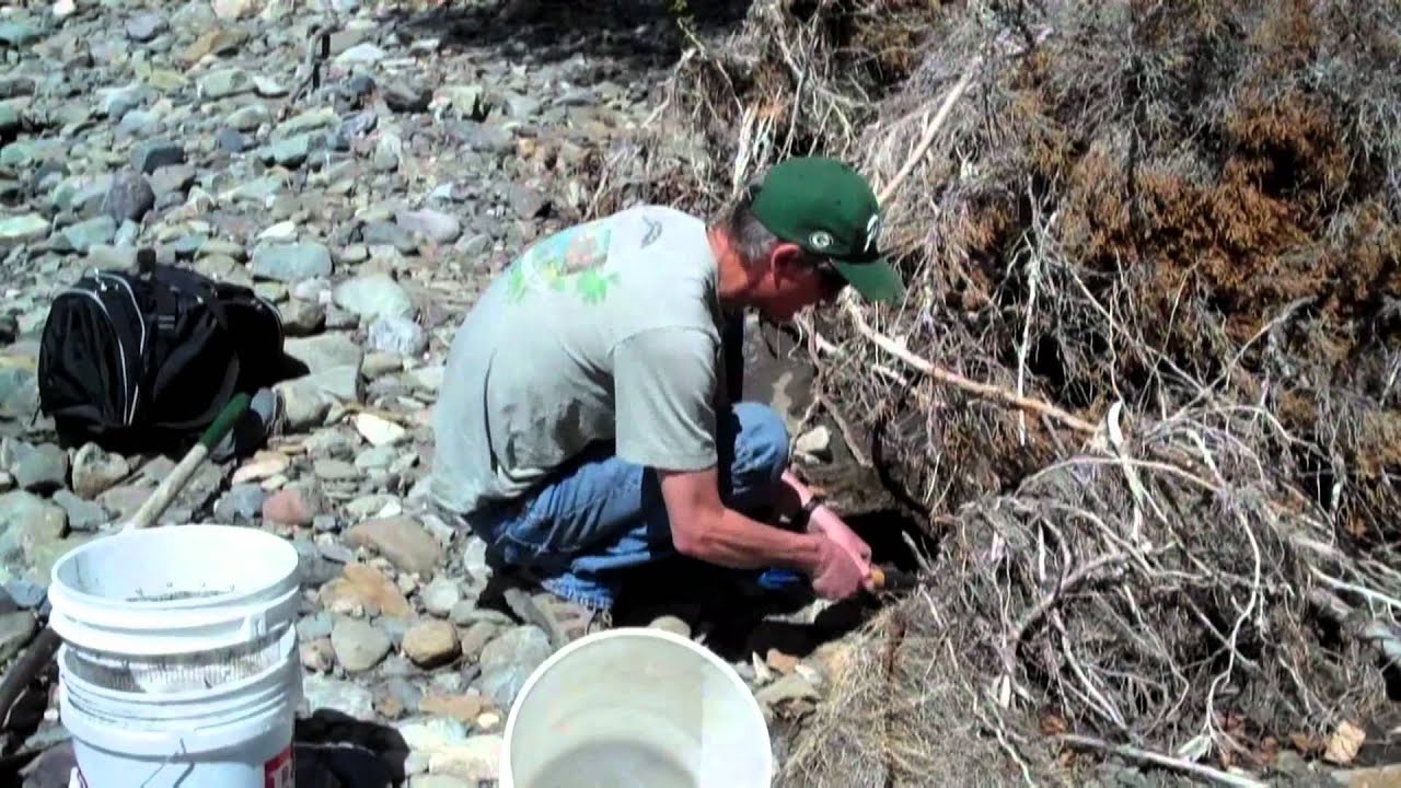 Prospecting Crow Creek, MT