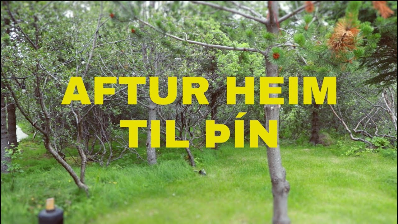 Eyþór Ingi & Lay Low - Aftur Heim Til Þín