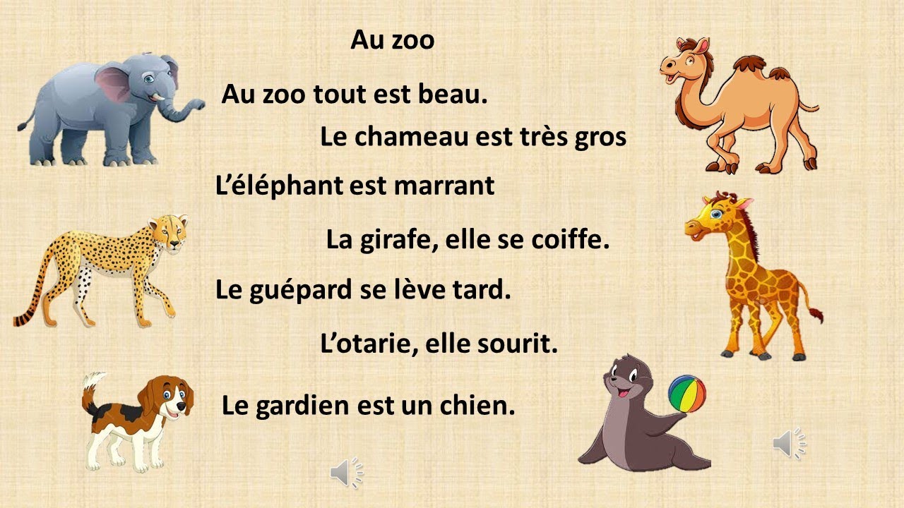 des cours de soutien pour apprendre le français.