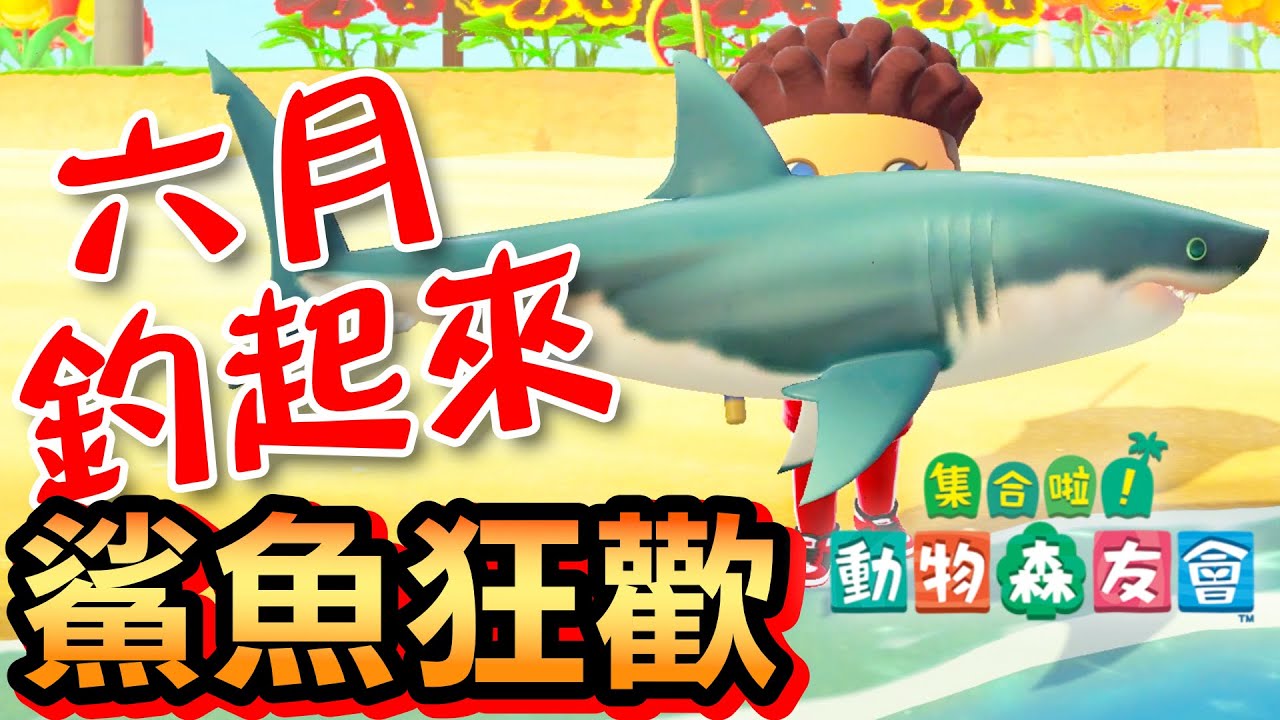 【集合啦！動物森友會】69- 鯊魚狂歡！六月釣起來！(Animal Crossing) (2020)