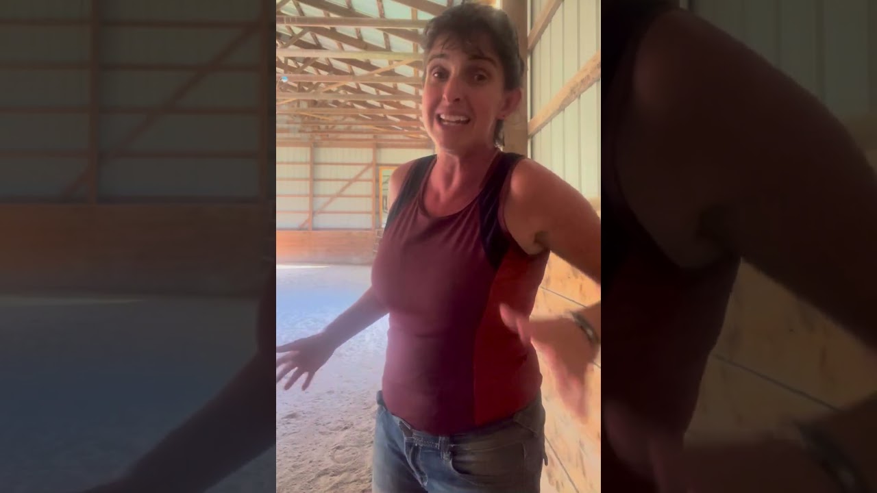 Shoulder in tutorial.  Dressage training