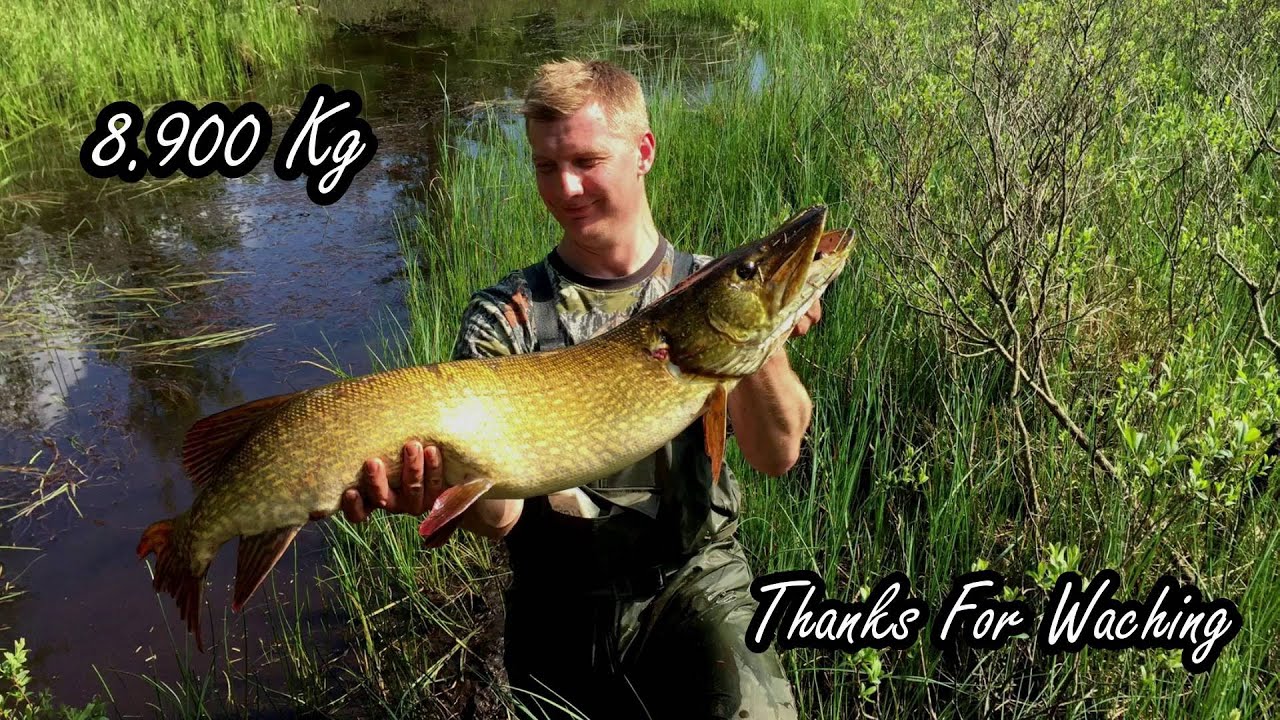 Pike Fishing In Loch Lochy