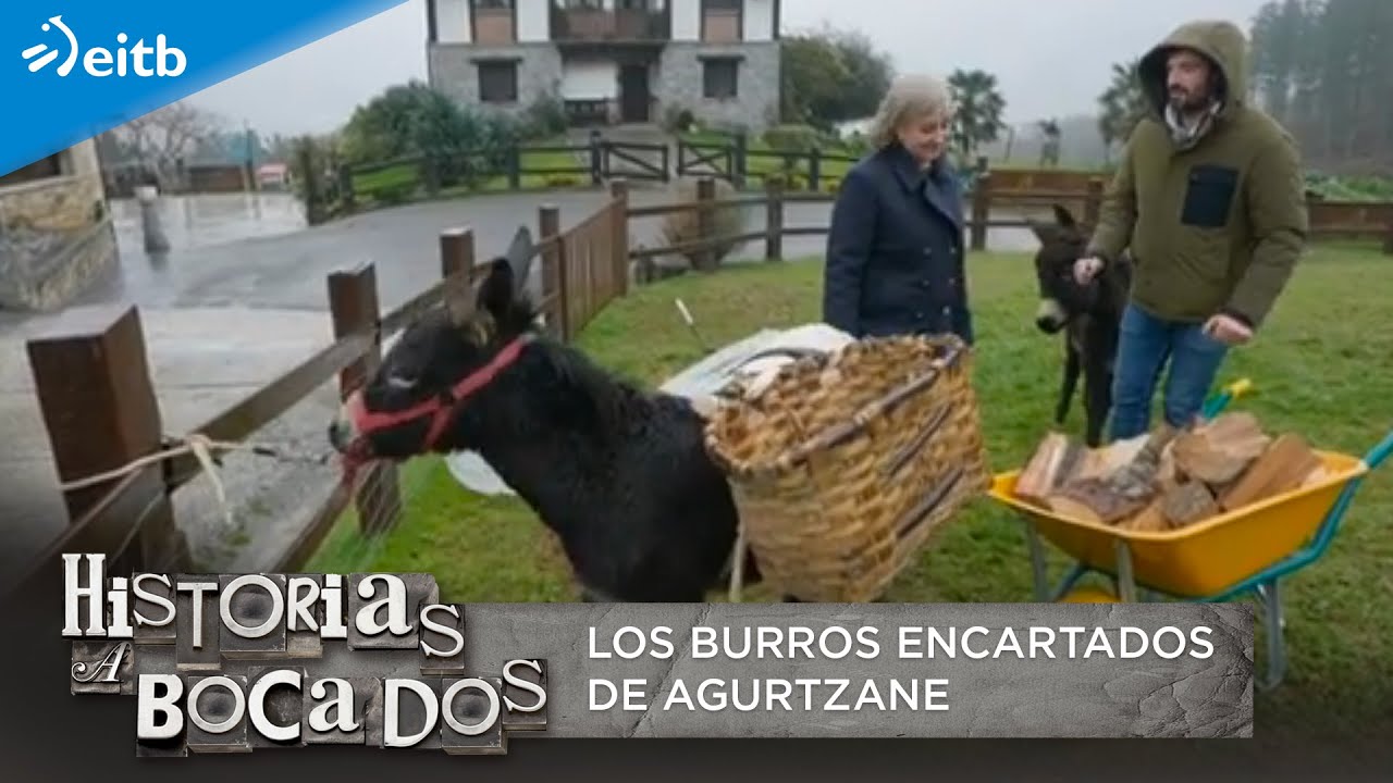 ¡A cargar leña que hace frío! Arguiñano ha conocido los burros encartados de Agurtzane