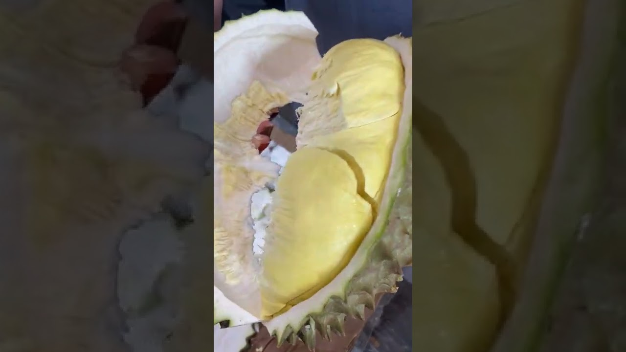 monthong durian fruit with tasty delicious flesh #shorts