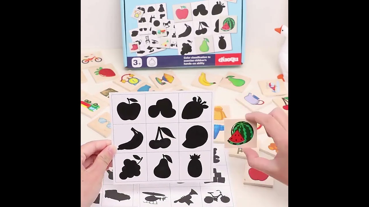 Shadow Matching Puzzle Set