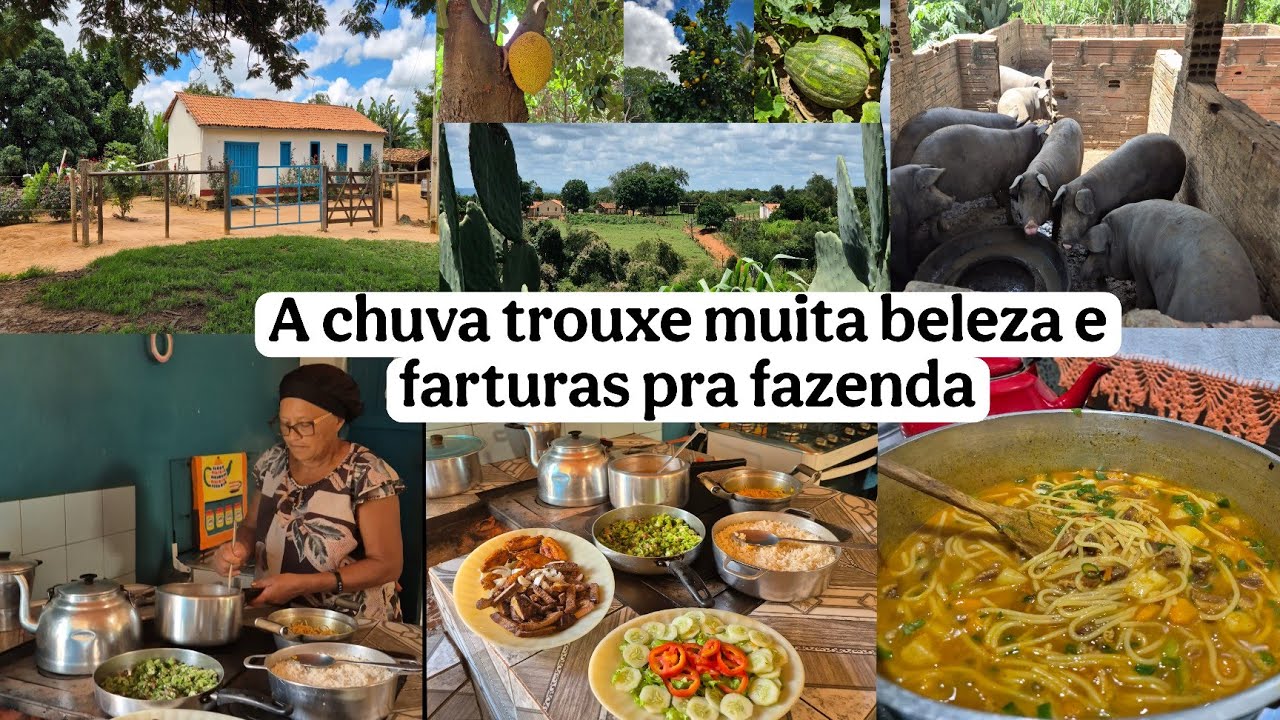 CASA DE M&Atilde;E/ venham ver quantas farturas no quintal,  muita &aacute;gua na lagoa/ mam&atilde;e na cozinha/fiz sopa