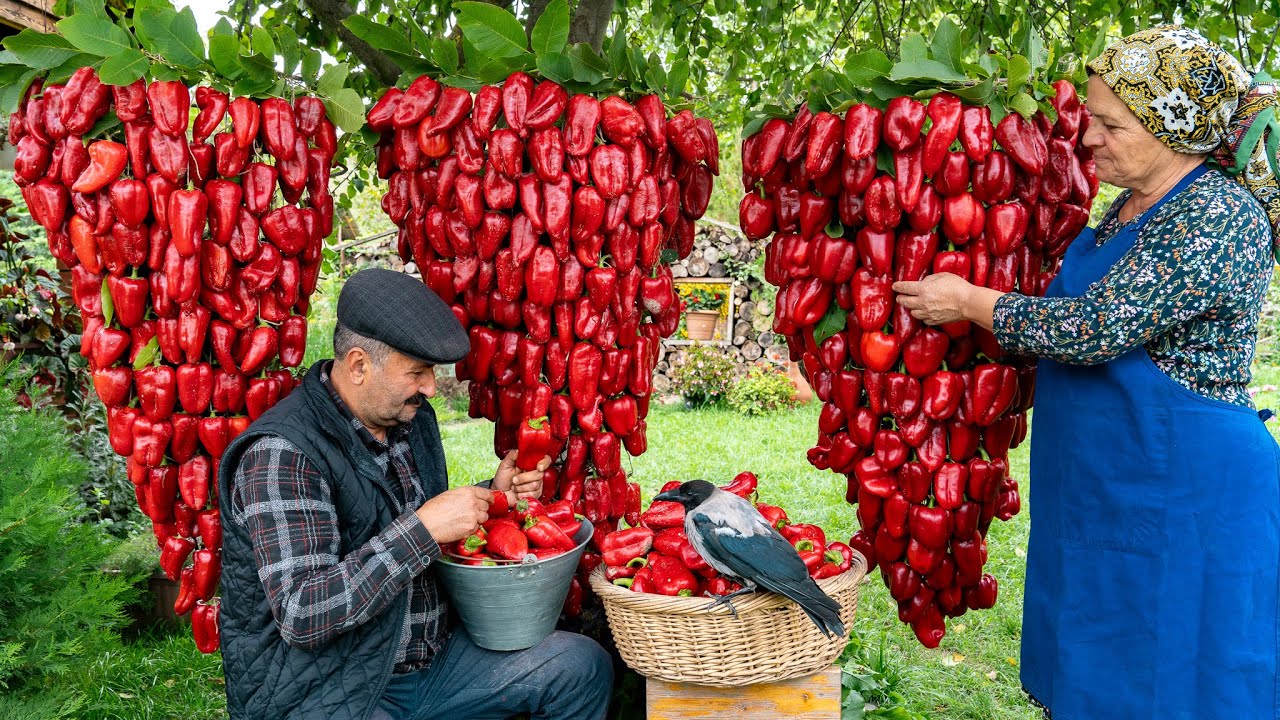 Приготовление пасты из болгарского перца в домашних условиях 🌶