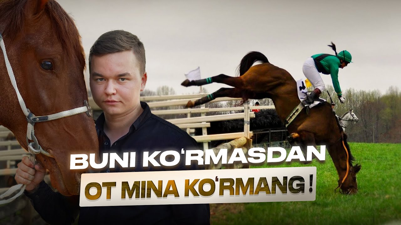 Buni ko'rmasdan ot mina ko'rmang!