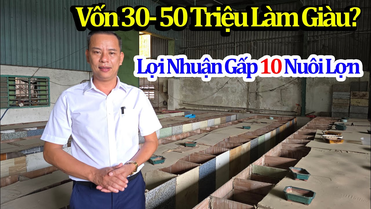 Nuôi Không Đủ Bán - Đầu Ra Không Phải Nghĩ/ Vốn 30 - 50 Triệu Làm Giàu Từ Mô Hình Nuôi Con Đặc Sản