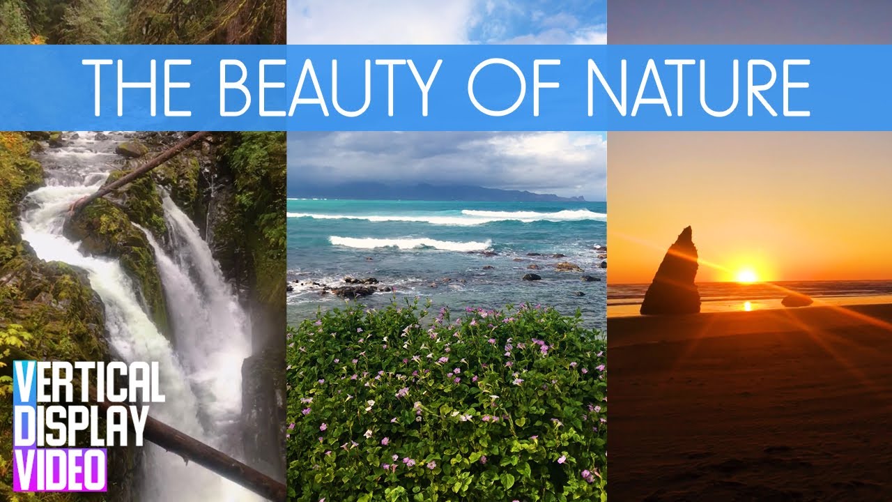 Amazing Nature Vertical Video for Phones and Tablets - Part 2 - 4K Stunning Nature Places of America